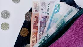 Чем отличается срочный вклад от вклада до востребования в Иголочка