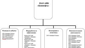 Чем занимается Башнефть-Петротест в Иголочка