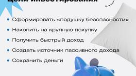 Что такое инвестиции в Иголочка