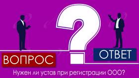 Для чего нужен устав ООО в Иголочка