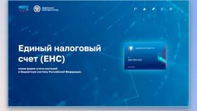 Единый налоговый платеж ФНС: что это в Иголочка