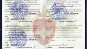 Экспертиза как официальный документ в Иголочка