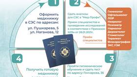 Как оформить медицинскую книжку для работы через Госуслуги в Иголочка