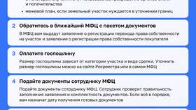 Как оформить право собственности через МФЦ в Иголочка