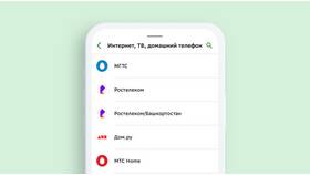 Как оплатить домашний интернет Билайн в Иголочка