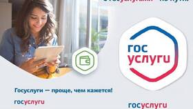 Как подать заявление на адресную помощь через Госуслуги в Иголочка