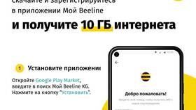 Как получить бесплатный интернет на Билайне в Иголочка