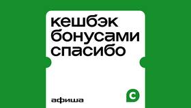 Как получить кэшбэк за покупку билетов на концерт в Иголочка