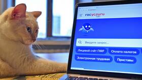 Как получить выписку из ЕГРН через портал Госуслуги в Иголочка