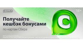 Как посмотреть историю начислений СберСпасибо в Иголочка