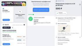 Как проверить штрафы ГИБДД через интернет в Иголочка