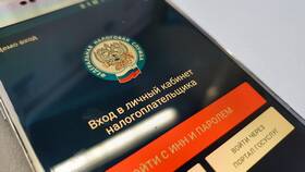 Как проверить задолженность по СНИЛС в Иголочка