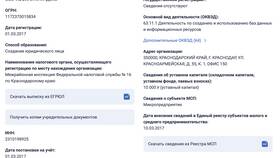 Как узнать выручку компании по ИНН в Иголочка