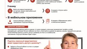 Как войти в электронный дневник через Госуслуги в Иголочка