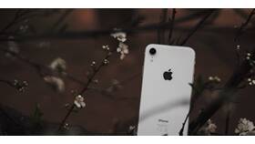 Как заблокировать сообщения от займов на iPhone в Иголочка