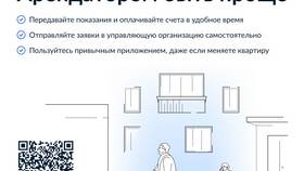 МФЦ: расшифровка и основные функции в Иголочка