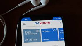 Почему не работает сервис Мосрег в Иголочка