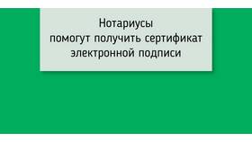 Почему сертификат не подписывает документ в Иголочка