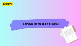 Причины незаполнения строк в налоговой декларации в Иголочка