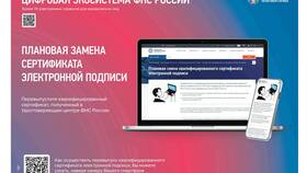 Сервис ФНС не отвечает через Госуслуги: что делать в Иголочка