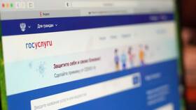 Сколько личных кабинетов можно создать на Госуслугах в Иголочка