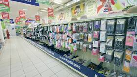 Сколько магазинов Fix Price работает в России и мире в Иголочка
