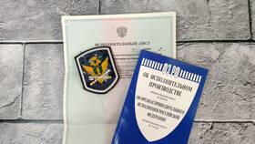 Выплата долга по ИД: что это означает в Иголочка