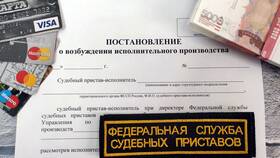 Задолженность по ИП: что это такое в Иголочка