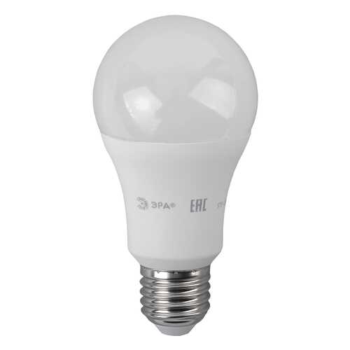 Лампочка Эра LED A60-17W-840-E27 Б0031700 в Иголочка